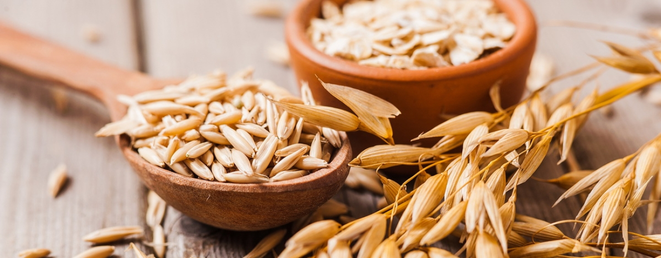 Certified Oat Seeds Sent to Farmers in Kulu