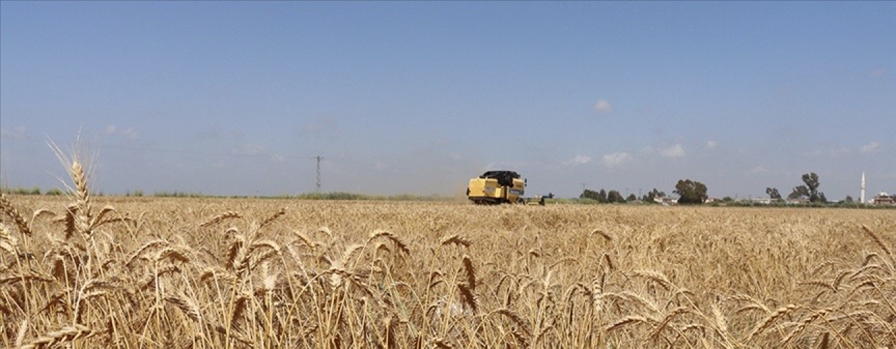 Konya Proudly Affirms Its Status as the Agriculture Capital