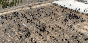 9,400 Saplings Planted in Selçuklu for Climate Action