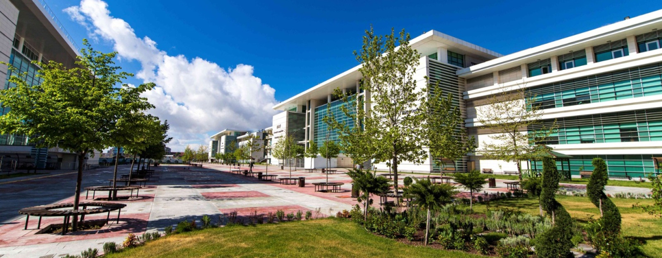 KTO Karatay University Ranks Top 300 Globally