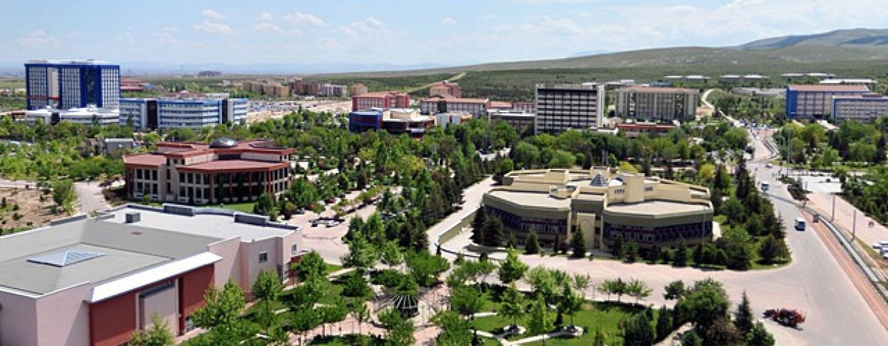 Festival Enthusiasm on Campuses