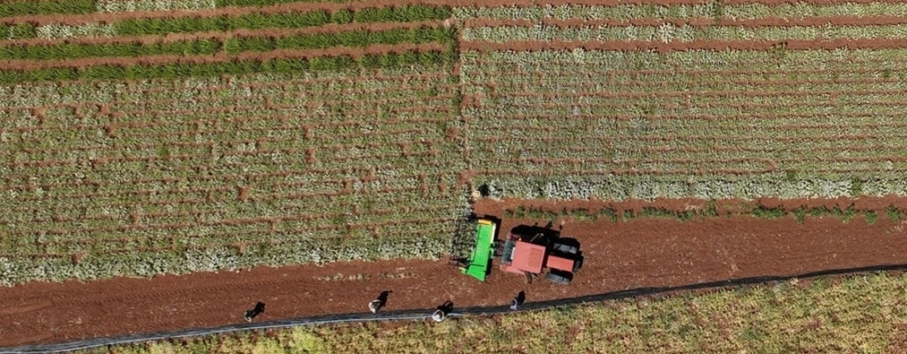Konya has the largest farming area