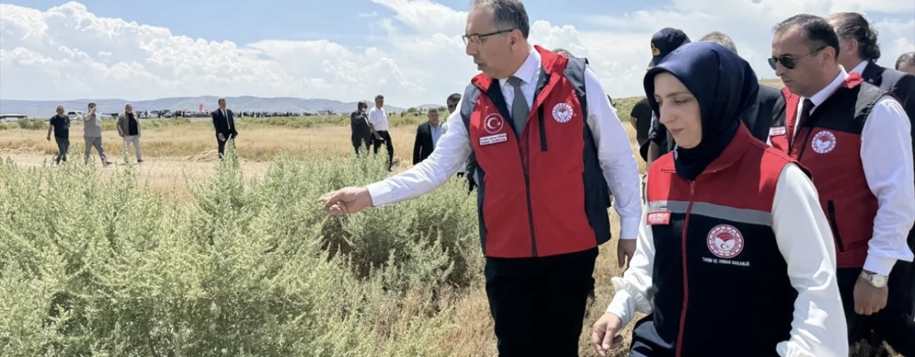 1,730 Decares of Pastureland Brought into Production Under Selçuk University Project