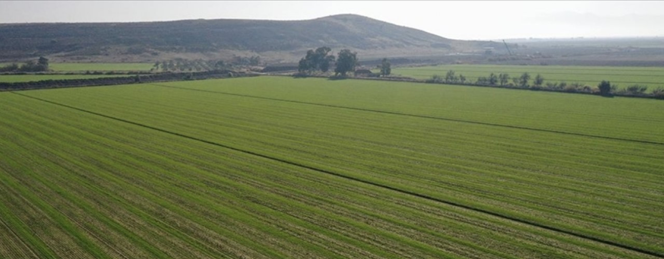 Seasonal Rainfall Reduces Irrigation Costs in Konya