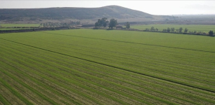 Seasonal Rainfall Reduces Irrigation Costs in Konya