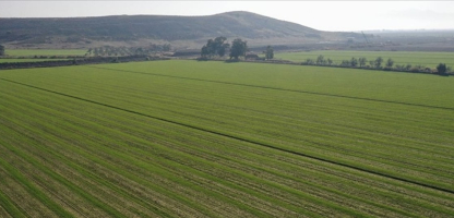 Seasonal Rainfall Reduces Irrigation Costs in Konya