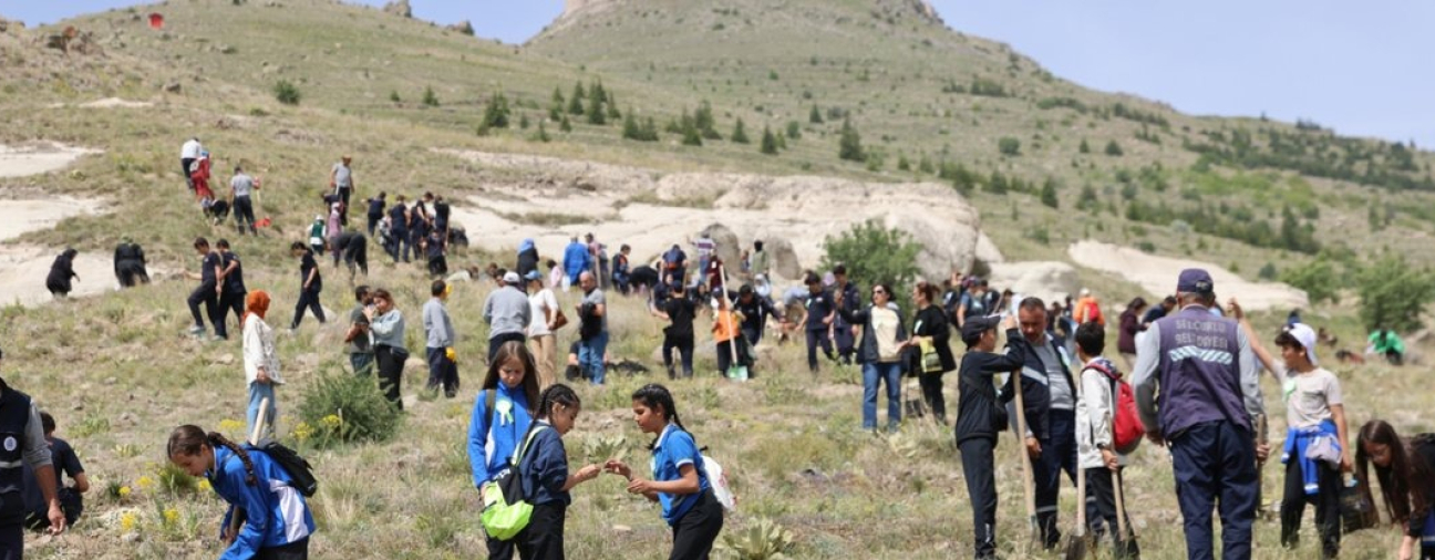 Hundreds of Saplings Planted in Selçuklu