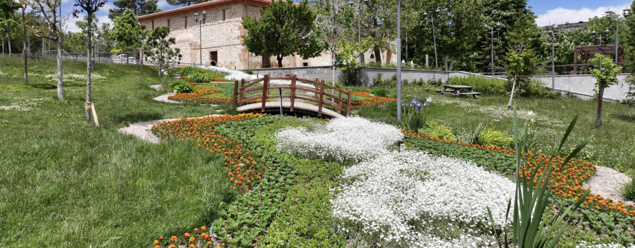 1.8 Million Flowers Add Color to Konya