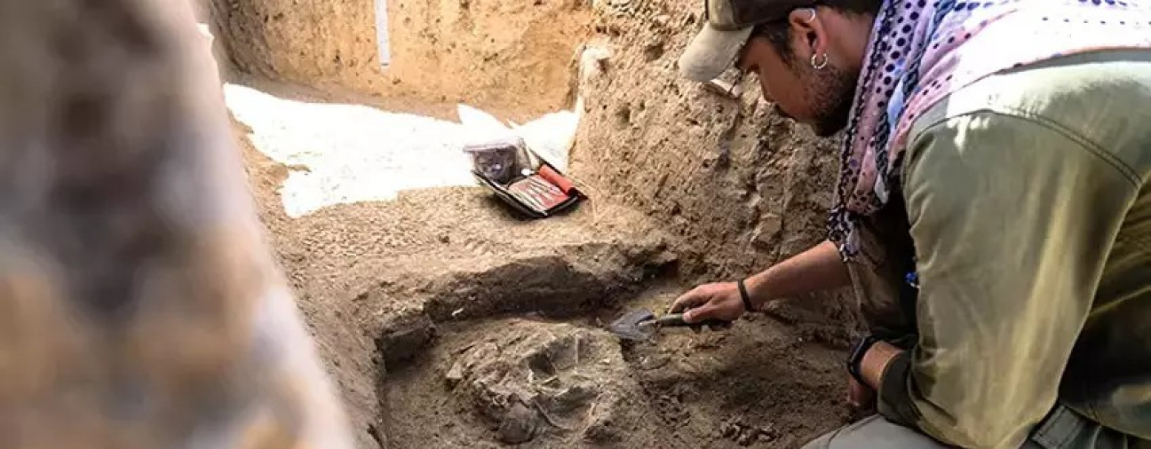 A 3,500-Year-Old “Dining Set” Discovered at Konya Karahöyük