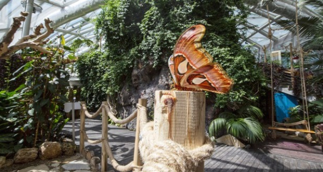 Thousands of Butterflies Enchant Konya Tourists