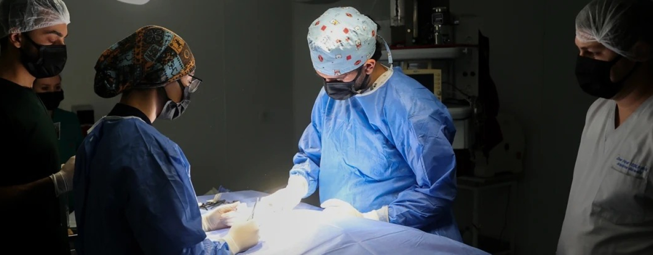 Selcuk University Animal Hospital Treats 20,000 Animals in 2024