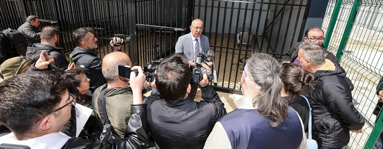 MAYOR KAVUŞ; “STRAY DOGS WILL HAVE A COMFORTABLE LIFE HERE”