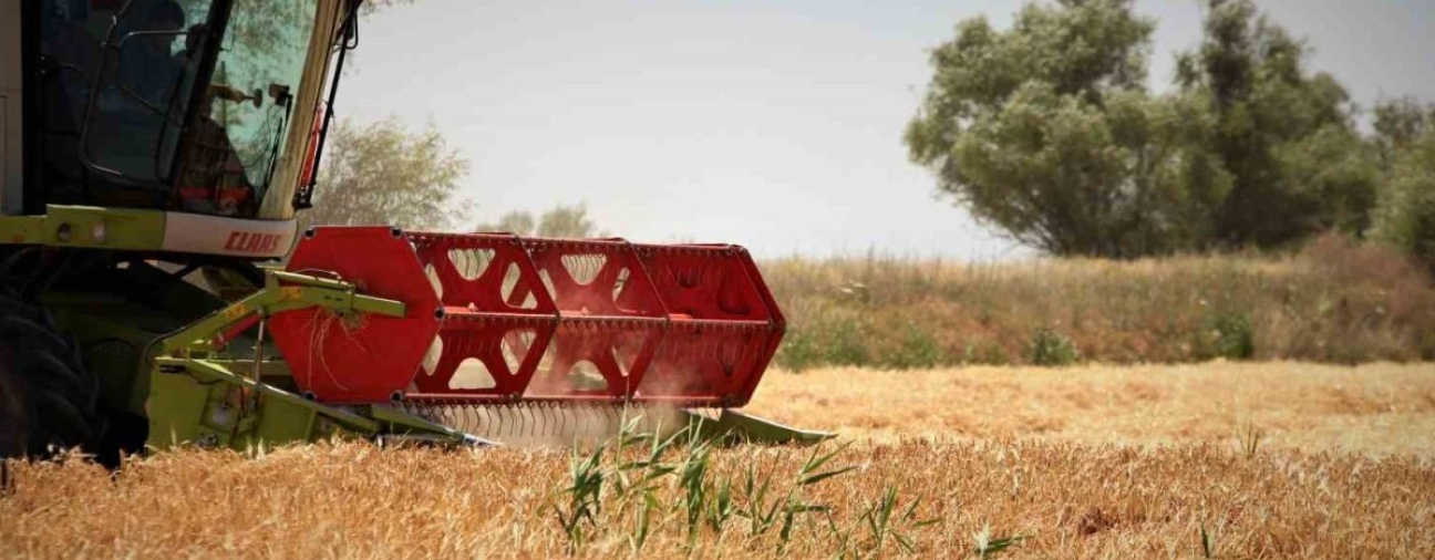Machine Support for Farmers in Konya! Harvest Completed on 100 Decares of Land