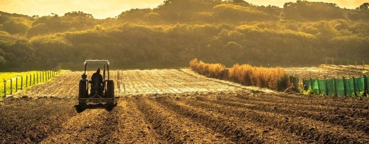 Konya Takes the Lead: First Place in Agricultural Production!
