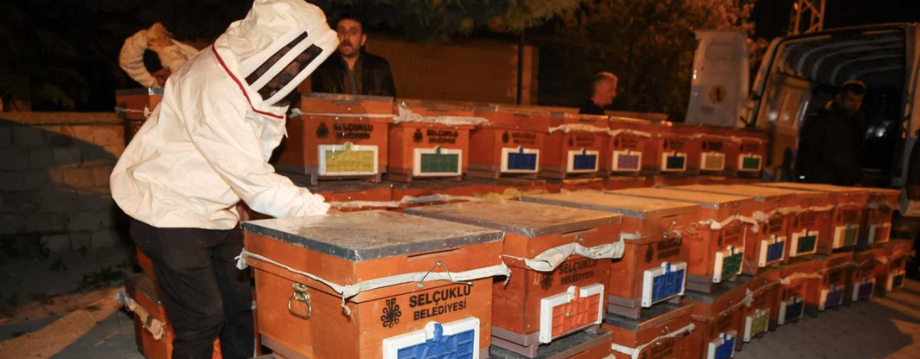 Selçuklu Municipality Expands Support for Beekeepers