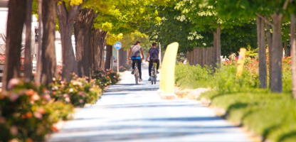 Why Konya is Known as a Bicycle City