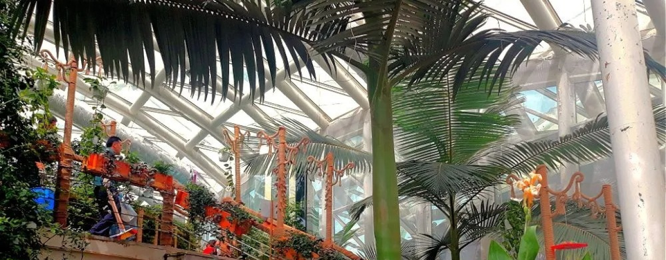 Konya hosts the world's most beautiful butterflies