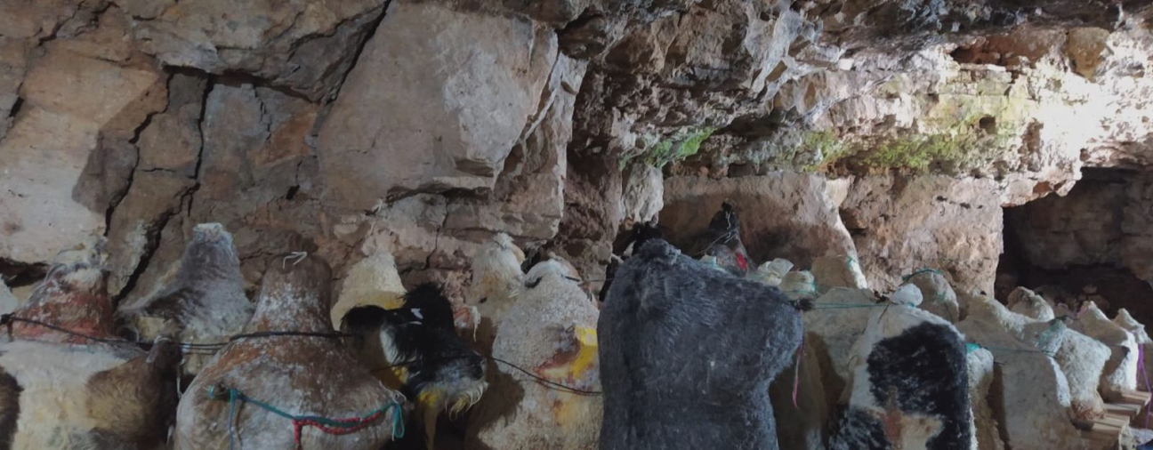 Secret of Flavor: Cheeses Matured in Caves in Konya