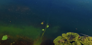 Çavuşçu Lake Becomes a Key Stop for Photography Enthusiasts