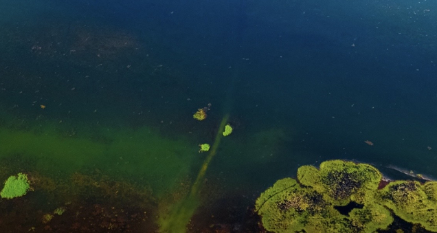 Çavuşçu Lake Becomes a Key Stop for Photography Enthusiasts
