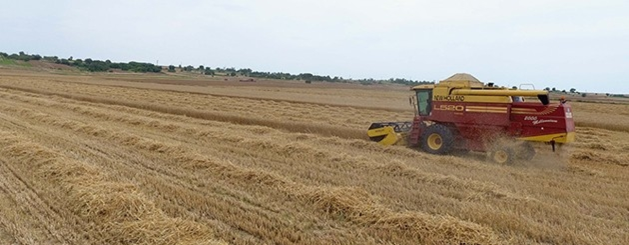Granary Konya Runs to the Top in Agricultural Machinery Export