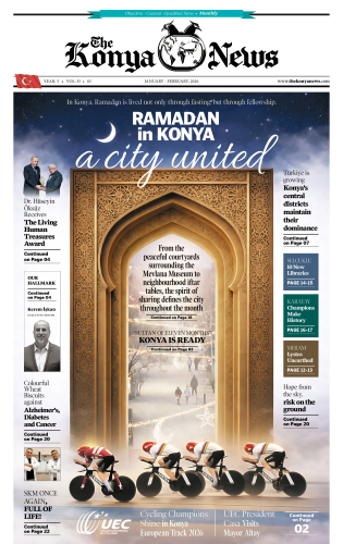 Vol: 35, Jan - Feb, 2026