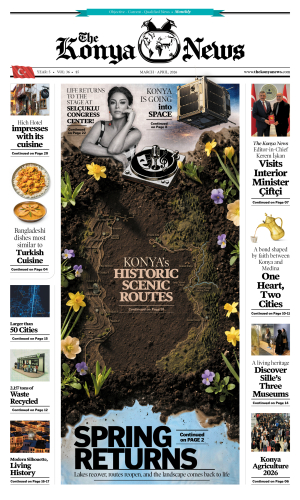 Vol: 36, Mar-Apr, 2026