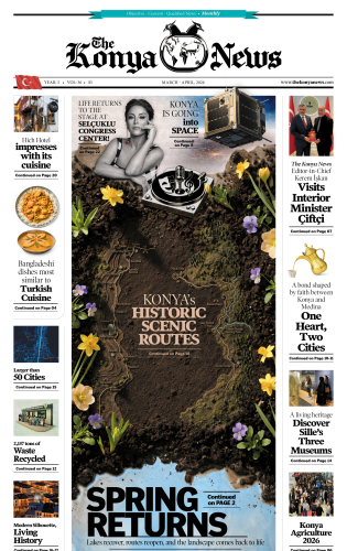 Vol: 36, Mar-Apr, 2026