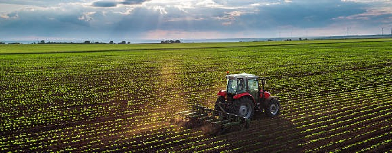 Beyşehir Implements High-Tech Solution to Fight Crop Pests