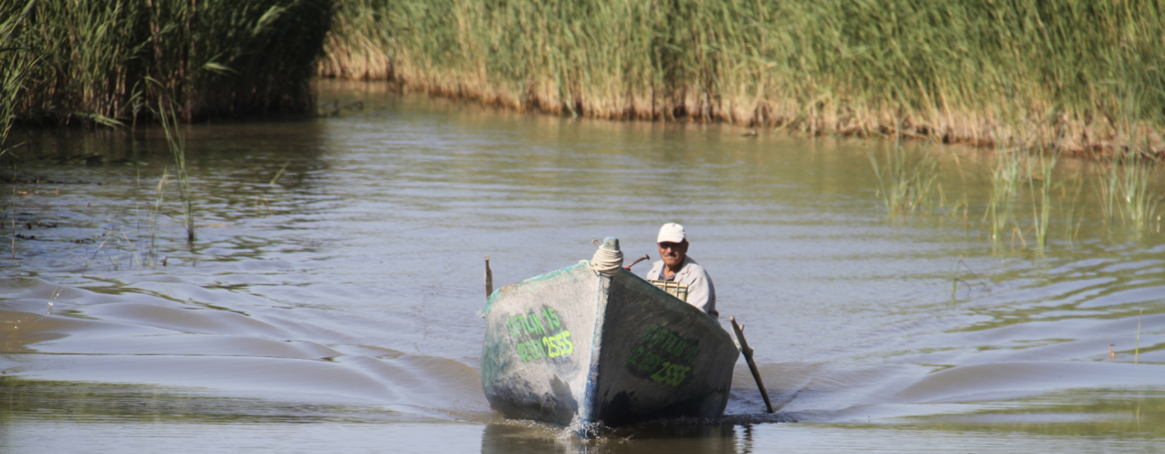 Fishing Season Begins at Lake Beyşehir
