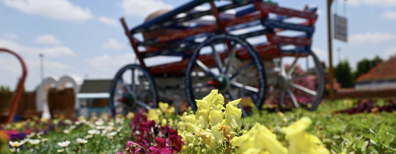 Selçuklu Flower Garden Opens Its Gates to Visitors