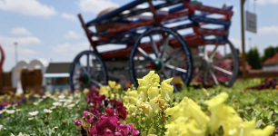 Selçuklu Flower Garden Opens Its Gates to Visitors