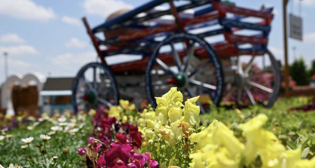 Selçuklu Flower Garden Opens Its Gates to Visitors