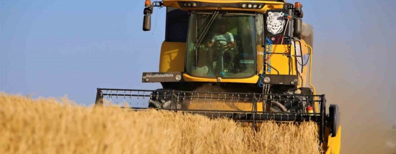 Harvest Begins in the Konya Plain