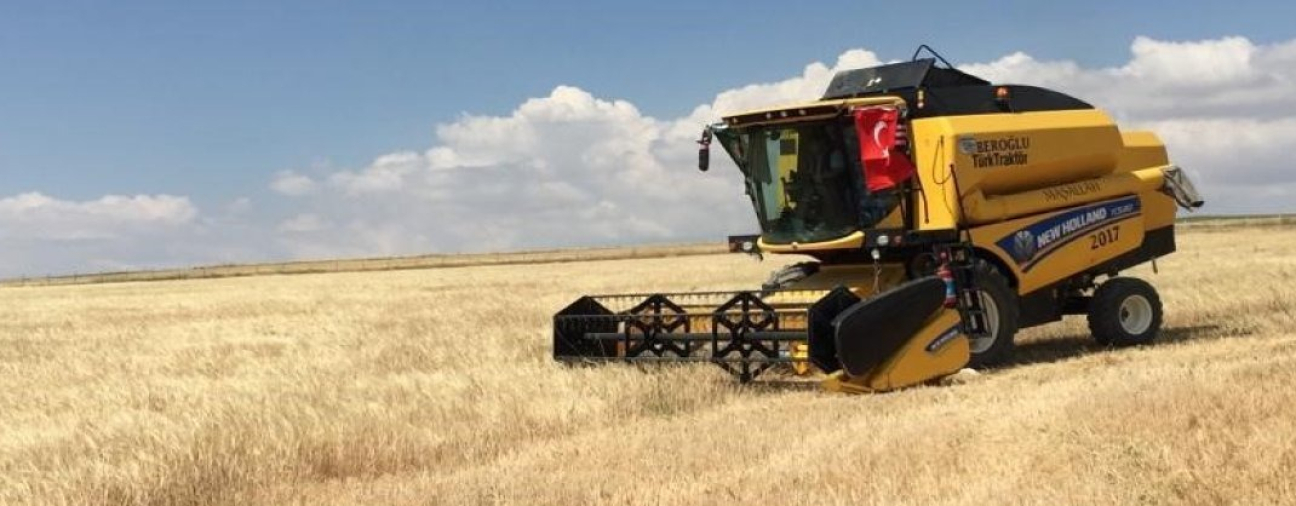 Barley Harvest Season Begins in Karapınar