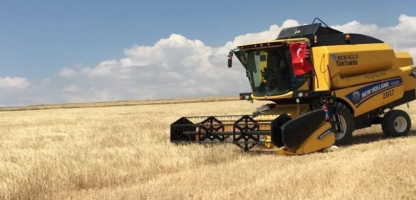 Barley Harvest Season Begins in Karapınar