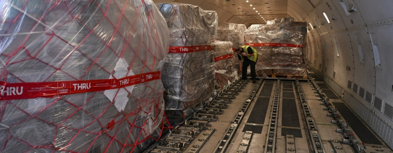 Countries continue to send aid to Turkey after quakes 