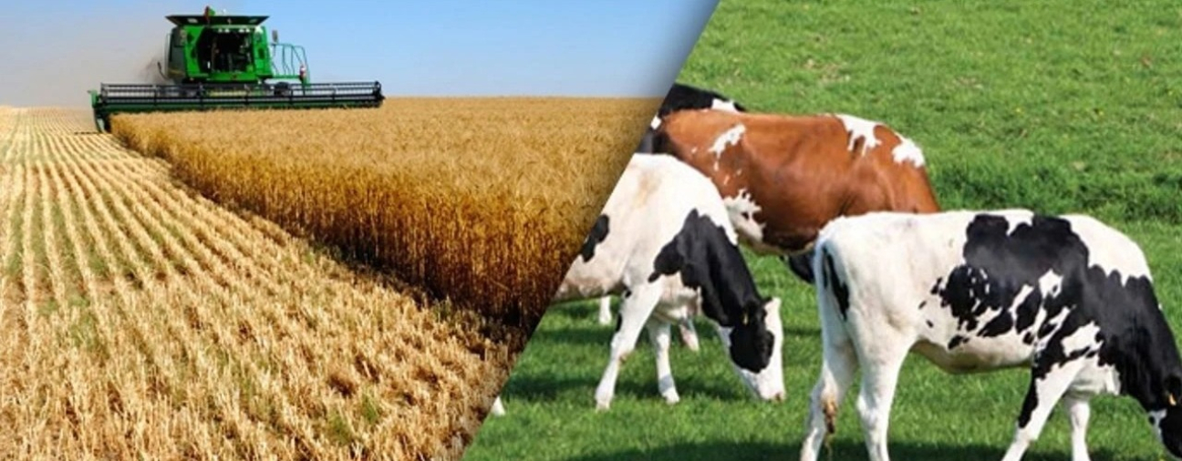Konya Strengthens Its Position in Agriculture and Livestock Production