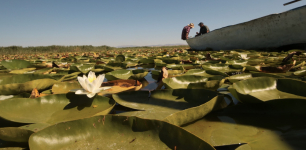 Beyşehir’s Water Lily Fields Captivate Visitors Each Summer