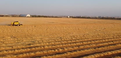 Konya Plain: The Insurance of Agricultural Production in Turkey