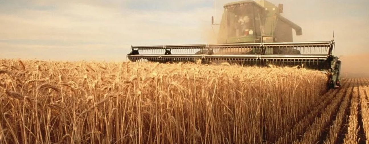 Tons of Local Seeds are Being Produced in Konya
