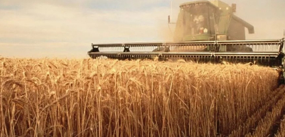 Konya Leads Türkiye's Certified Seed Production
