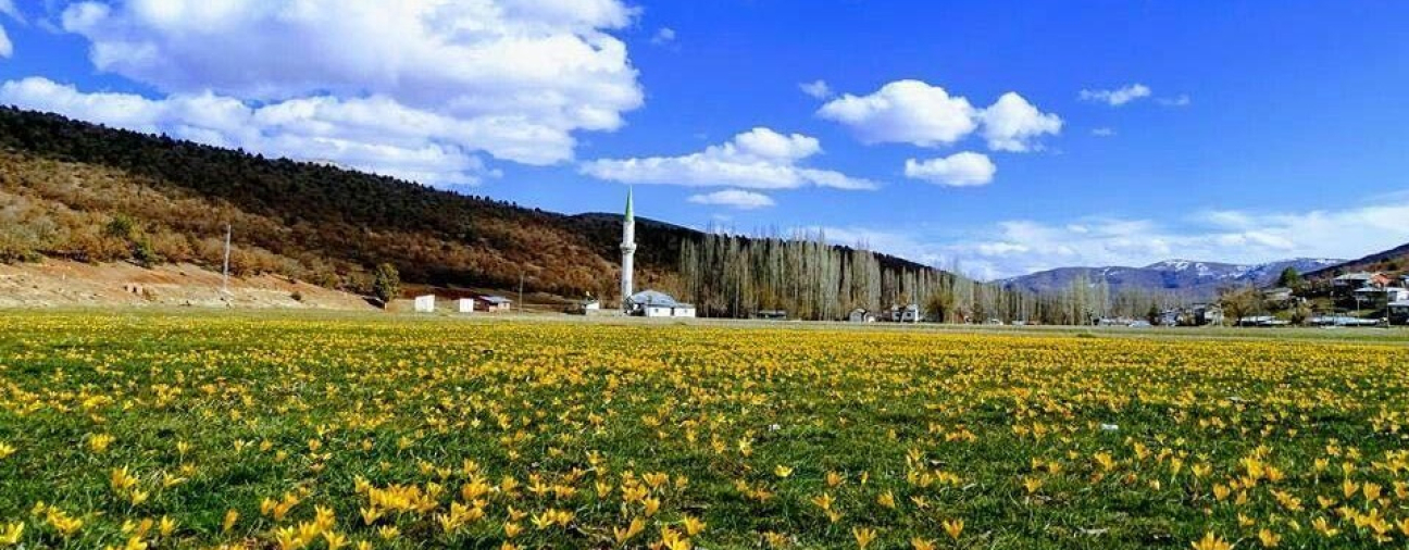 Konya's Source of Healing: Bartlı Plateau
