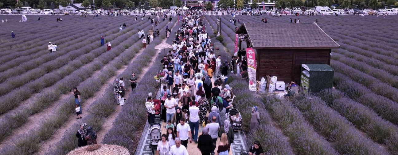 Karatay Lavender Days Draw Record Crowds