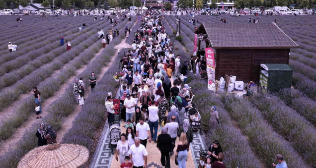 Karatay Lavender Days Draw Record Crowds