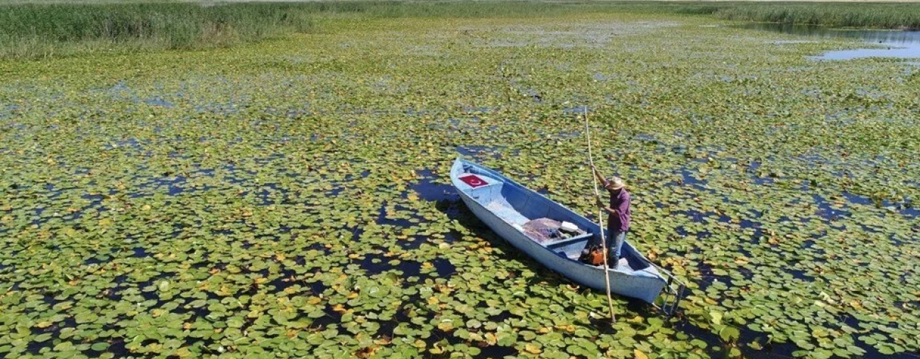 Explore Konya’s Water Lily Garden