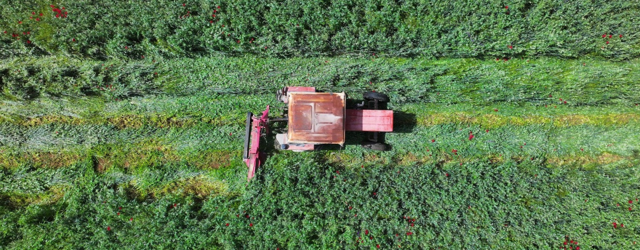 Mayor Altay Boosts Agricultural Production in Konya!