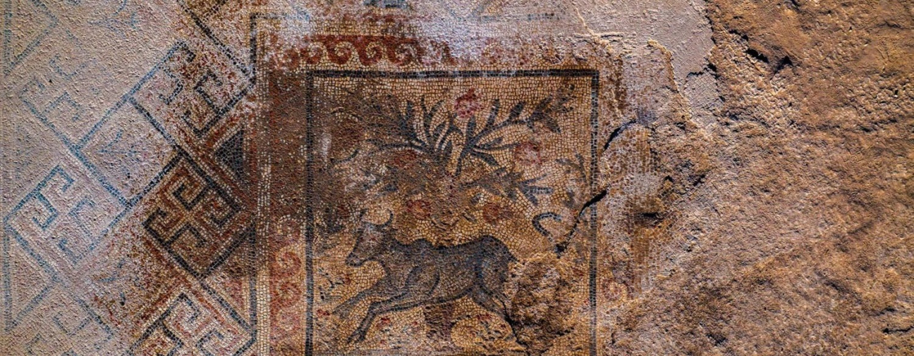 Savatra Opens a Window to the Past