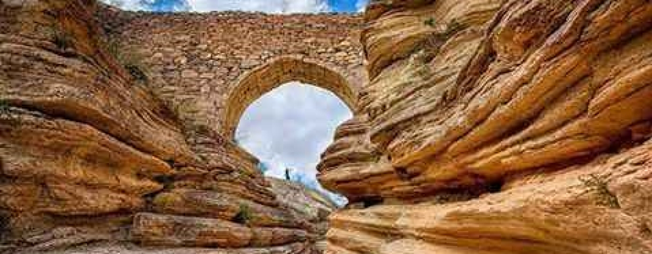 Only 2 in Türkiye: One in a 5,000-year- old neighborhood in Konya