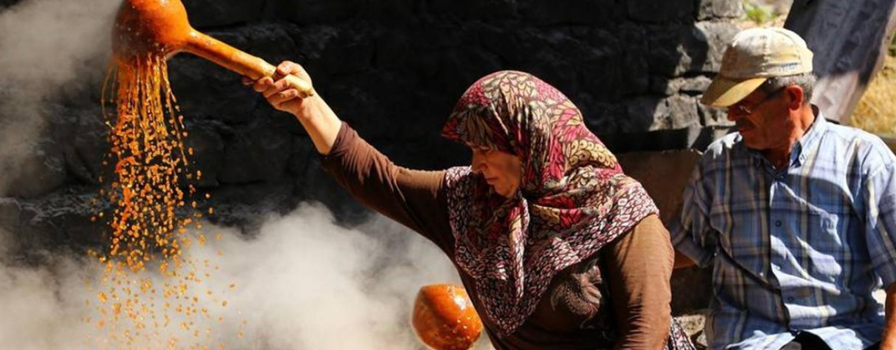 Konya's Remarkable Grape Harvest and Production